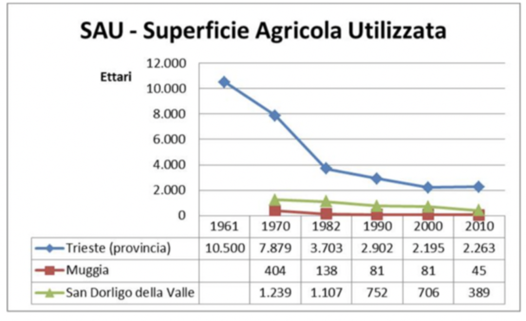 Superficie agricola in ex Provincia di Trieste